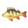 Fish Pillow Perch