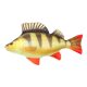 Fish Pillow Perch