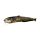 Fish Pillow Catfish