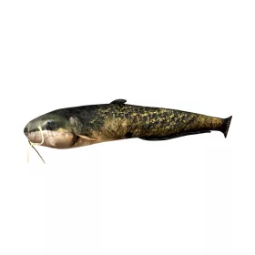 Fish Pillow Catfish Baby