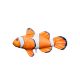 Fish Pillow Nemo Baby