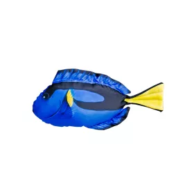 Fish Pillow Dory Baby