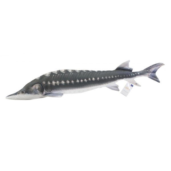 Fish Pillow Viza