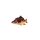 Fish Pillow Carp Baby