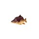 Fish Pillow Carp Baby