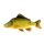 Fish Pillow Scaly Carp Baby