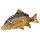 Fish Pillow Giant Carp