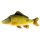 Fish Pillow Scaled Giant Carp