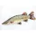 EnergoTeam River Pike Fish Cushion 90cm
