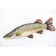 EnergoTeam River Pike Fish Cushion 90cm