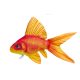 Fish Pillow Goldfish