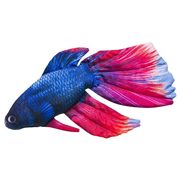 Fish Pillow Siamese Warrior Fish