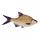 Fish Pillow Bream 70Cm