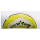 EnergoTeam Kiwi Fruit Cushion Quarter 37x17cm Pillow
