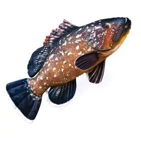 EnergoTeam The Dusky Grouper 100cm Fish Pillow