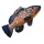 EnergoTeam The Dusky Grouper 100cm Fish Pillow