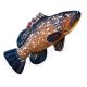 EnergoTeam The Dusky Grouper 100cm Fish Pillow