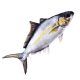 EnergoTeam The Amberjack 105cm Fish Pillow
