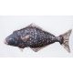 EnergoTeam The Halibut 72cm Fish Pillow