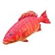EnergoTeam The Coral Trout 81cm Fish Pillow