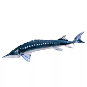 EnergoTeam The European Sturgeon 36cm Fish Pillow