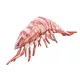 EnergoTeam The Tiger Prawn 65cm Fish Pillow