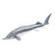 EnergoTeam The Beluga Sturgeon 140cm Halas Párna