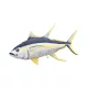 EnergoTeam The Monster Yellowfin Tuna 160cm Fish Pillow