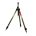 Carp Expert stands, tripods