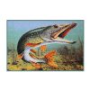 Delphin Mat 3D Pike 60x40cm
