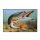 Delphin Mat 3D Pike 60x40cm