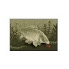 Delphin CatchME! Carp wiper carpet Carp