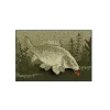 Delphin CatchME! Doormat Carp
