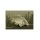 Delphin CatchME! Carp wiper carpet Carp