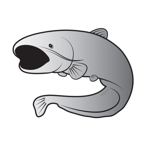 Delphin Self-adhesive catfish SILVER