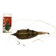 Carp Expert Method Rig With Bait Sting 40 Spin 10
