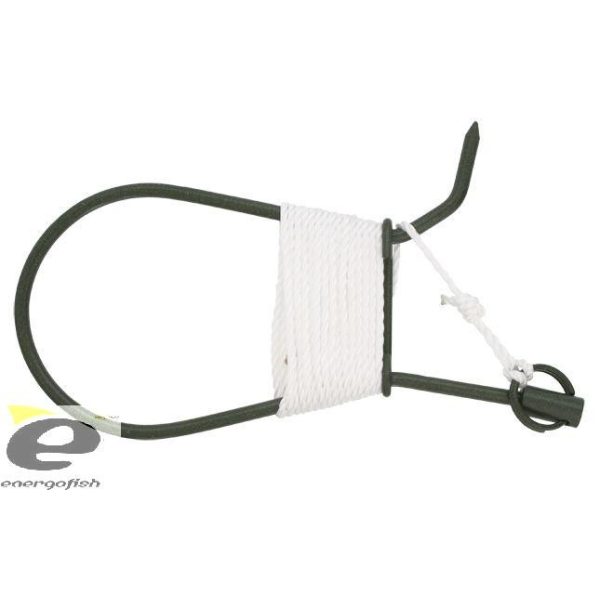 Clamp Catfish