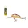 Salmo Hornet H5F PRD 5cm 7gr Wobbler