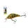 Salmo Rattlin Hornet Shallow GFB 4,5cm 5,5gr Wobbler