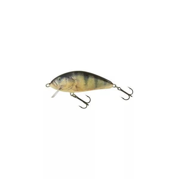 Salmo Fatso F10S RPH 10cm 52gr Wobbler