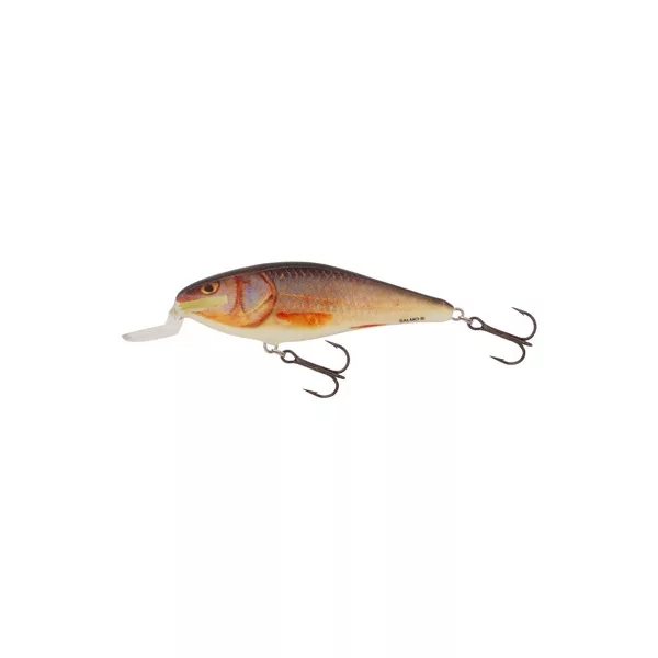 Salmo Wobbler Executor Wobbler RR 70mm - 8gr