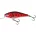 Salmo lures