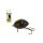Salmo LilBug 2cm Bogár Utánzat