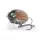 Salmo Wobbler Lil Bug Wobbler MBG 30mm - 4.3gr