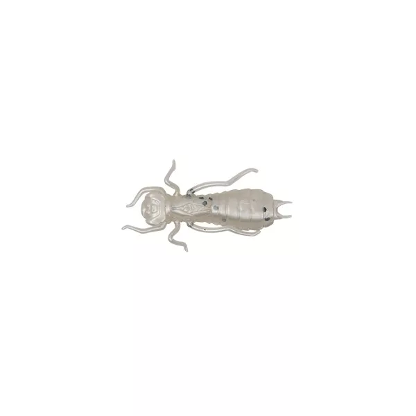 Wizard LARVA COL. 001 6PCS/BAG Rubber artificial lure