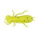 Wizard LARVA COL. 002 6PCS/BAG Rubber bait