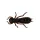 Wizard LARVA COL. 003 6PCS/BAG Rubber artificial lure