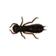 Wizard LARVA COL. 003 6PCS/BAG Rubber artificial lure