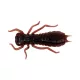 Wizard LARVA COL. 005 6PCS/BAG Rubber lure