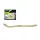 Wizard Worm Pearl 14cm Artificial Worm 5pcs